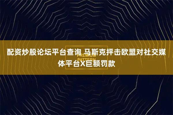 配资炒股论坛平台查询 马斯克抨击欧盟对社交媒体平台X巨额罚款